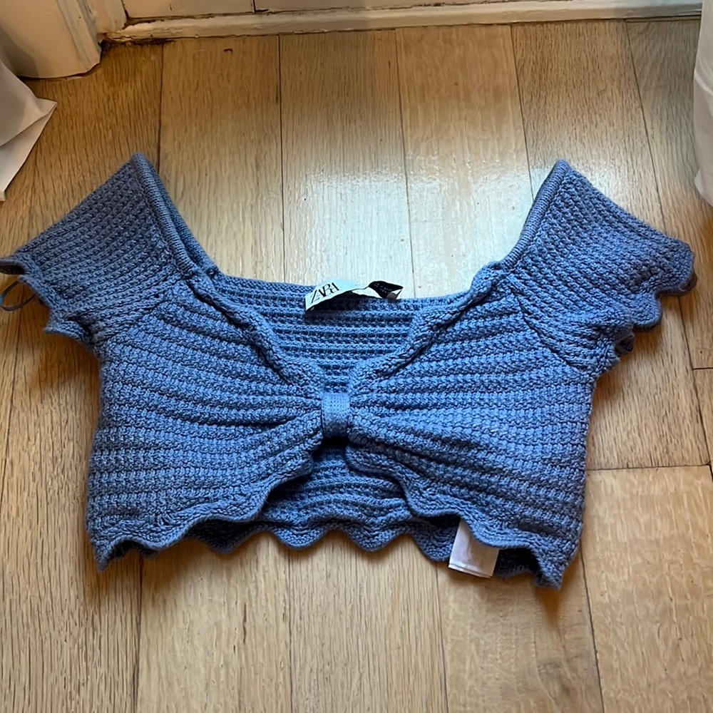 Zara Blue Cropped Crochet Top.